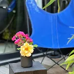 Bed & Breakfast La 1901 4*