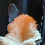 La 1901 Bed & Breakfast Nancy