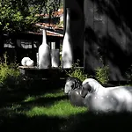 La 1901 4* 南锡